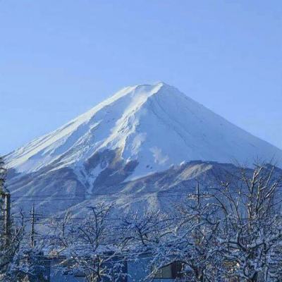 问剑蜀山破解版手游下载